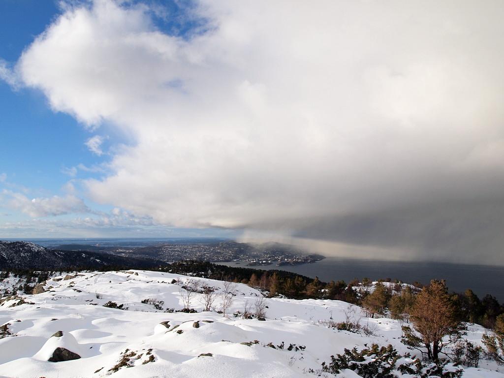 56d0ab217a9e3_Vrskille(P2260496).JPG.132