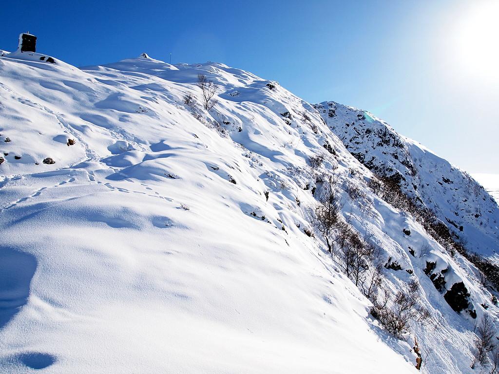 56d342553d1bc_OppTrappefjellet(P2280503)