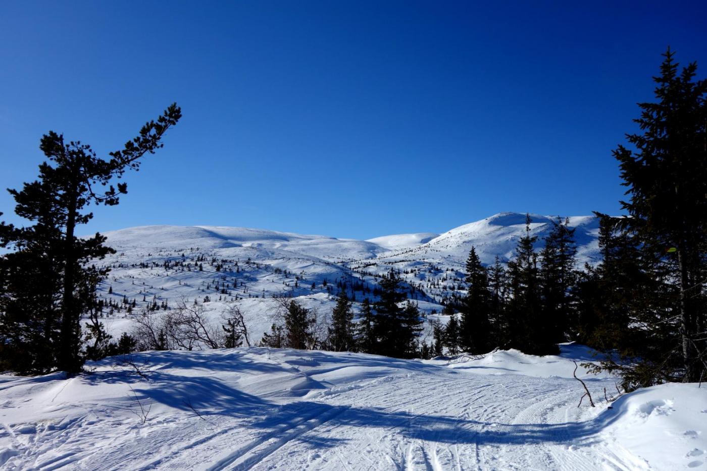 DSC09742.thumb.JPG.6158363b91c3aa6c9bbc2