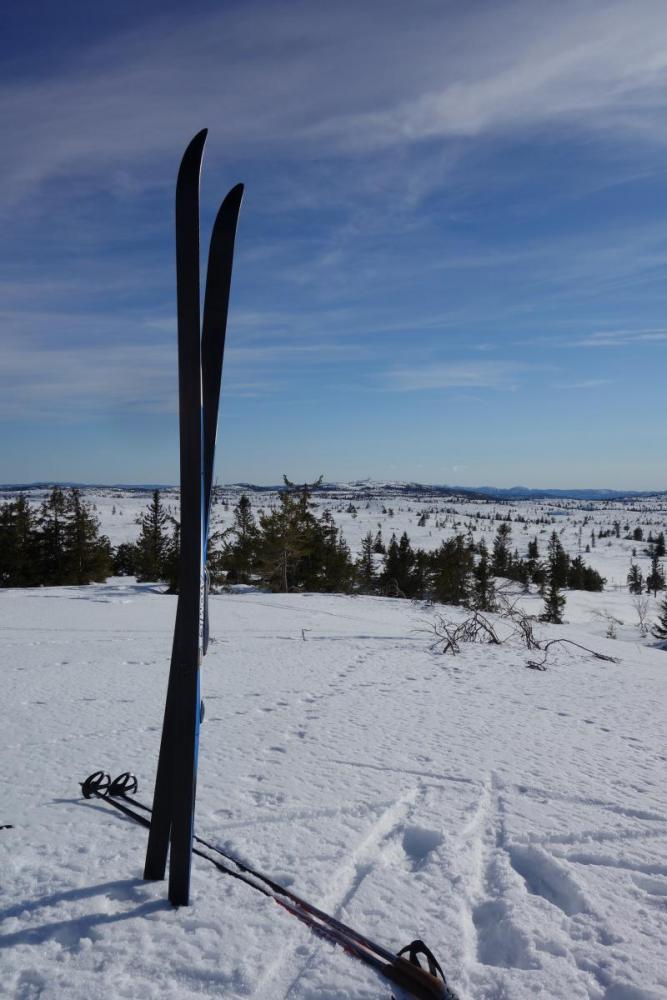 DSC09766.thumb.JPG.33ce8909bf53a3578c40a