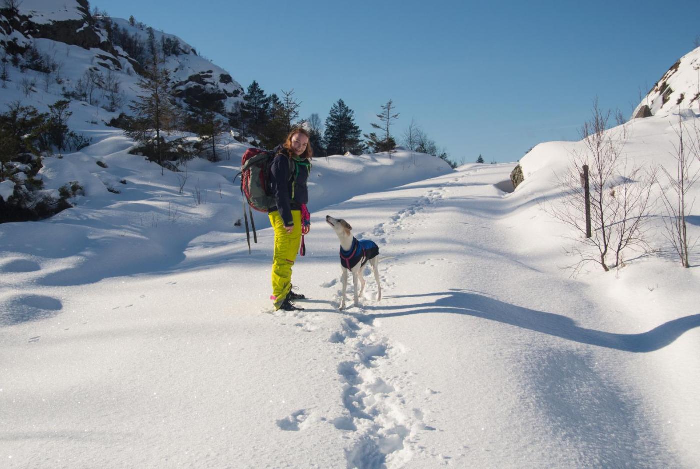 DSC_0166.thumb.jpg.9aed7592d9e28e3da8664