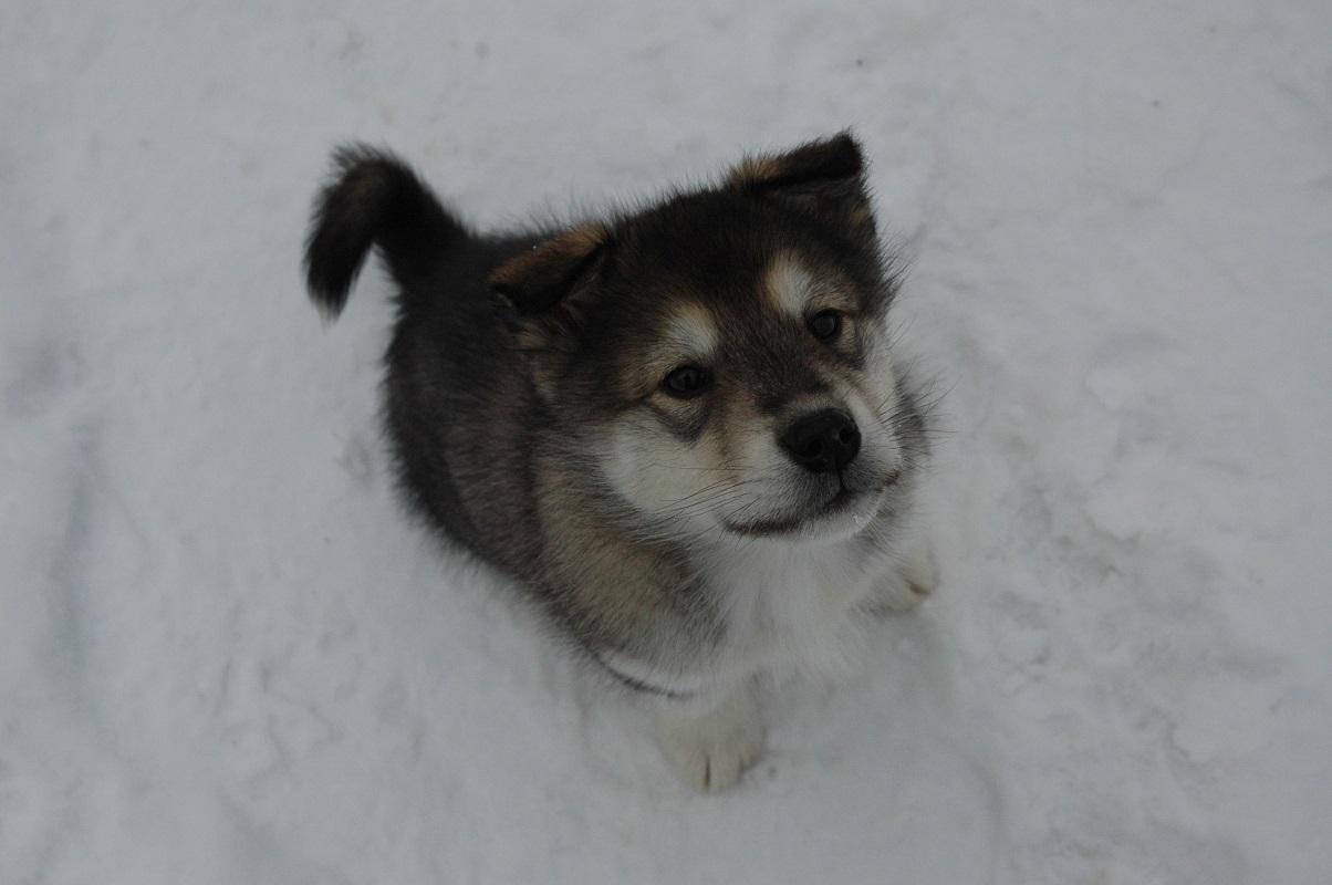 DSC_0219.JPG.5d06b657af51f239d0bd19b8071