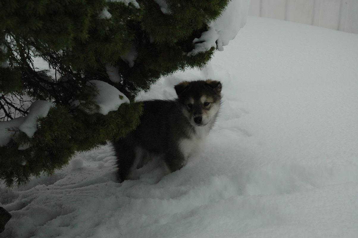 DSC_0304.JPG.af57e71f24eae250bc6e2cf155f