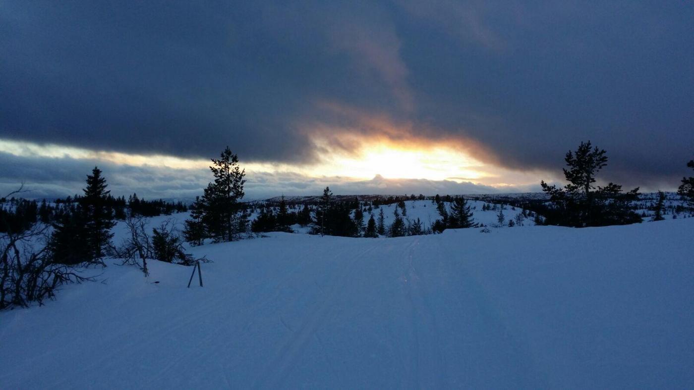 IMG-20160130-WA0039.thumb.jpg.72a010eb5c