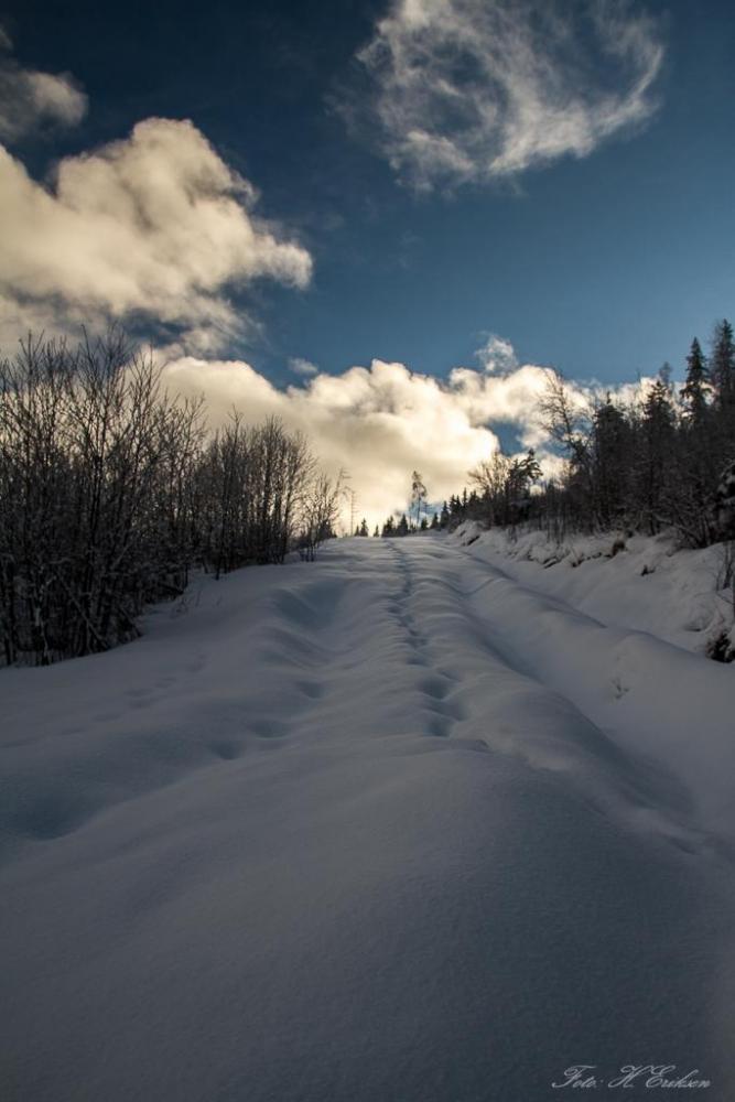 IMG_0808.thumb.jpg.793aac92a95cc82eef74e