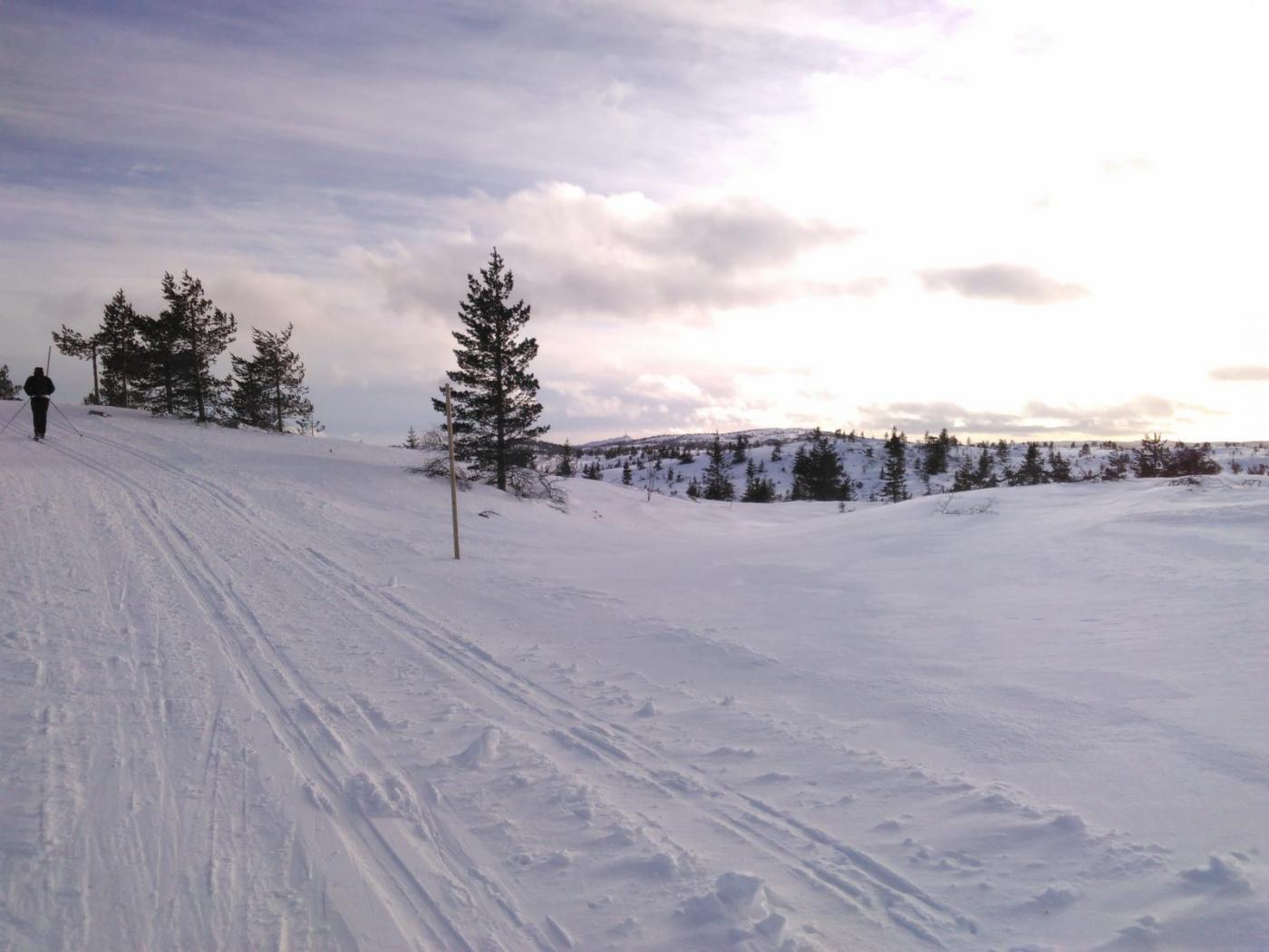 IMG_20160130_124813.thumb.jpg.4b2e371530