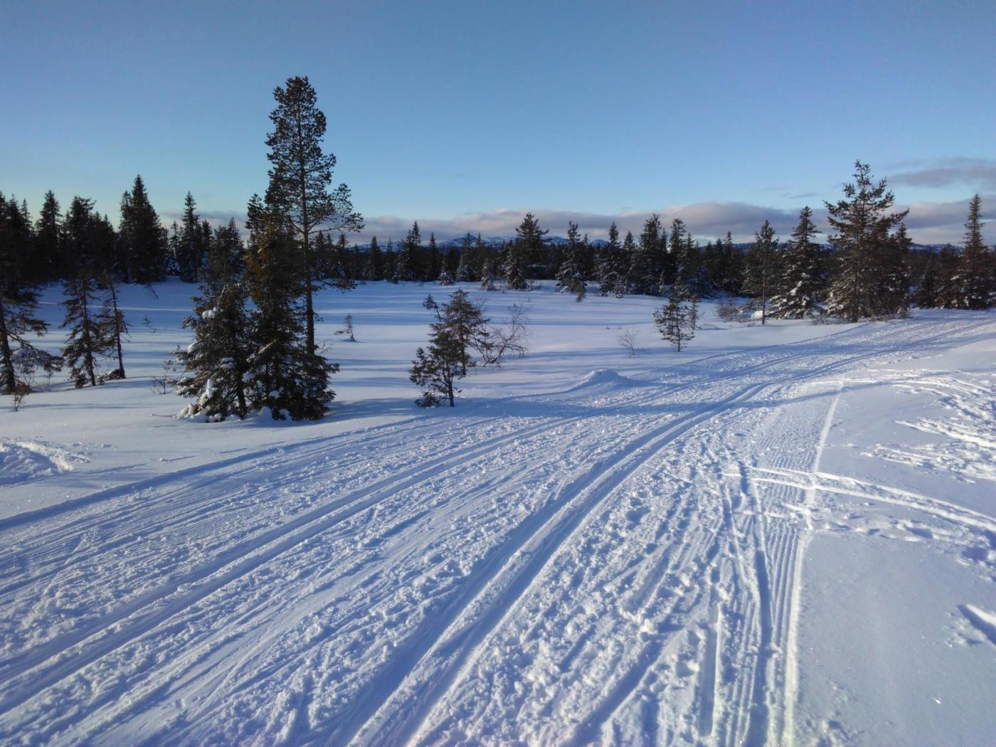 IMG_20160213_145822.thumb.jpg.dd1492384e