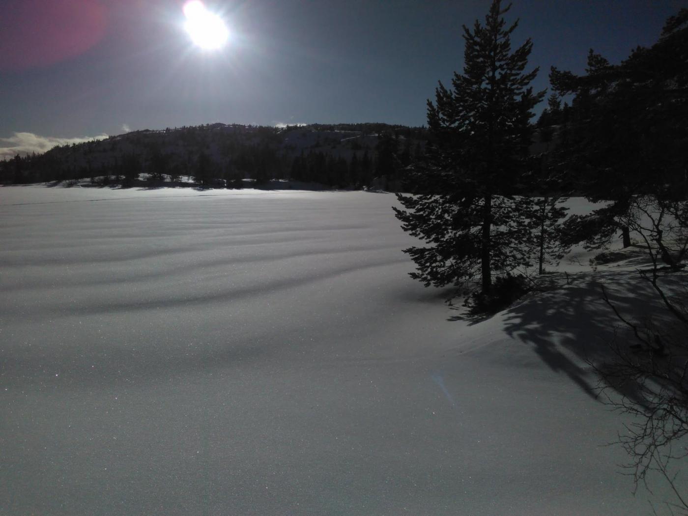 IMG_20160221_144925.thumb.jpg.4f60613729