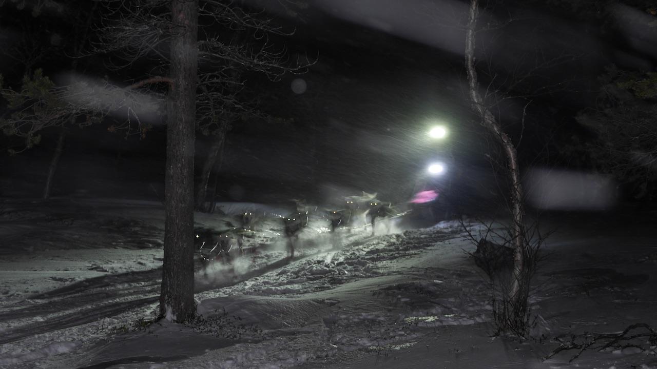 IMG_4905.jpg.a6b311afec49e80962fdf50e1fd