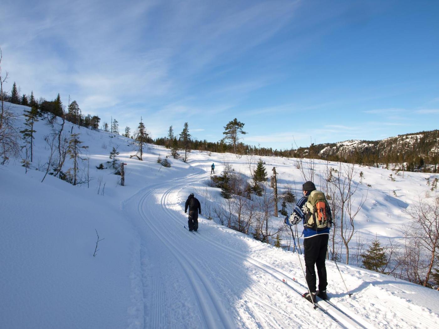 SB250662.thumb.JPG.a407989c6295dd3abf8c3