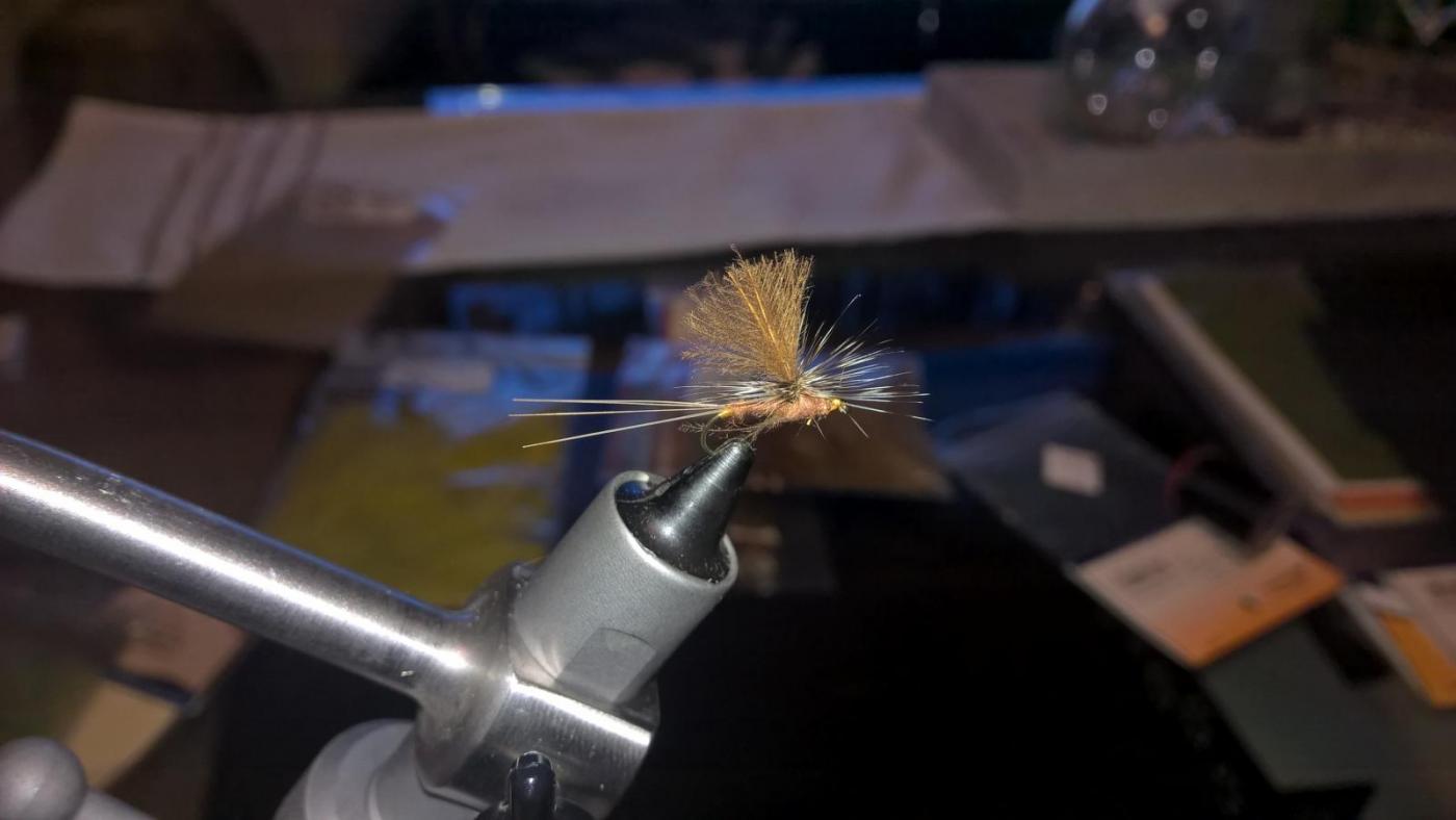 WP_20160206_18_19_25_Pro.thumb.jpg.d4c79