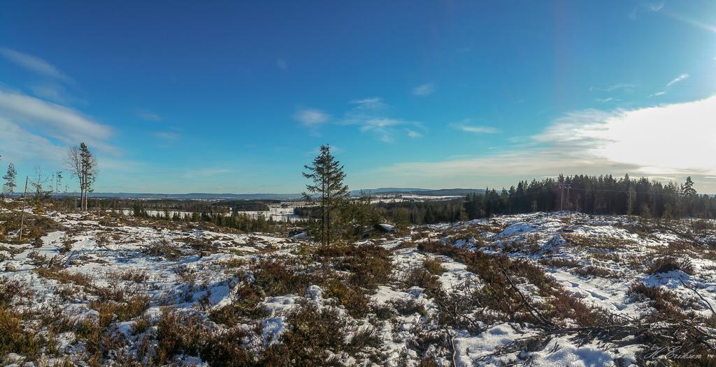 20160228_134406.jpg.29e2d4bfd05e8cc86817