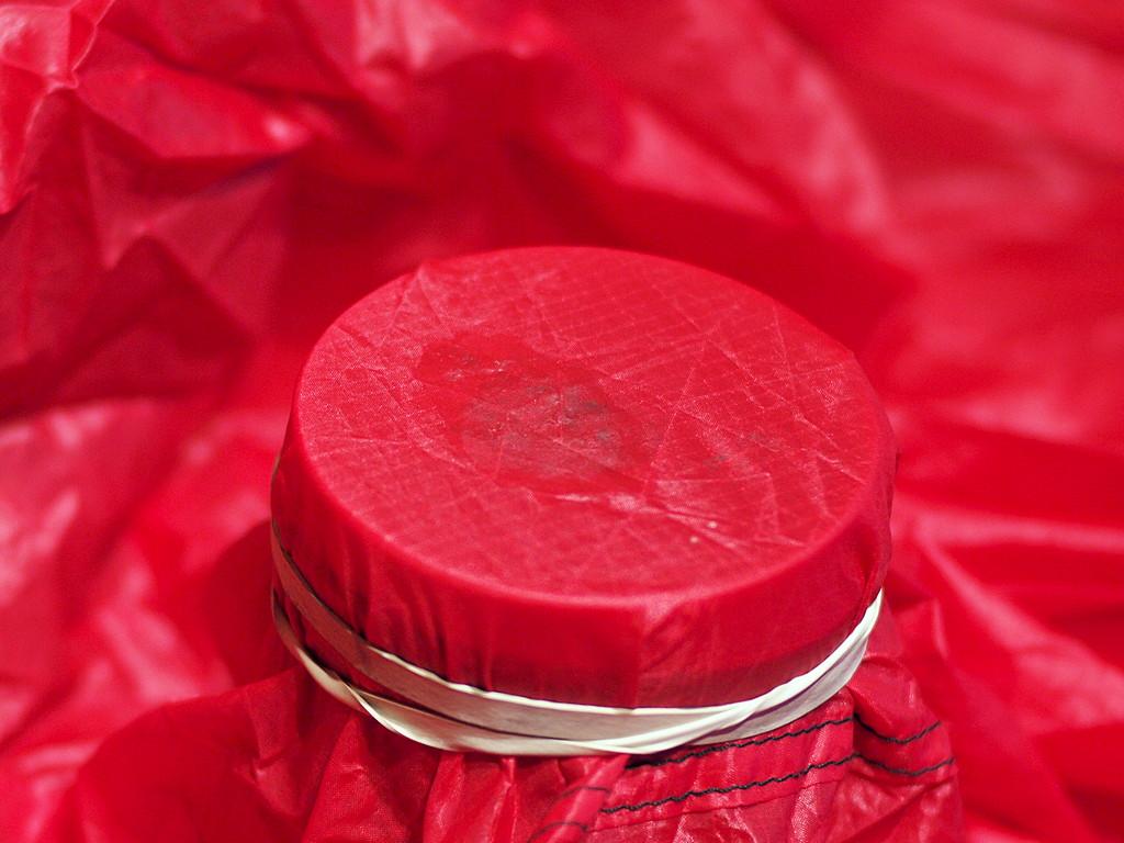 56ddd5a04a1c1_UL10rep(P3070519).JPG.6c2a