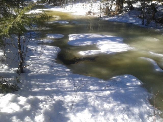 56e9e4bf9c497_20160315_122417(640x480).j