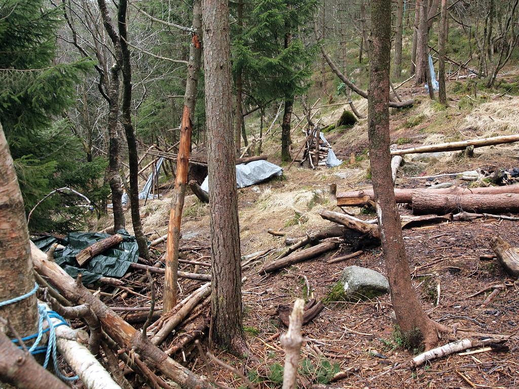 Leir (P3270538.JPG).jpg