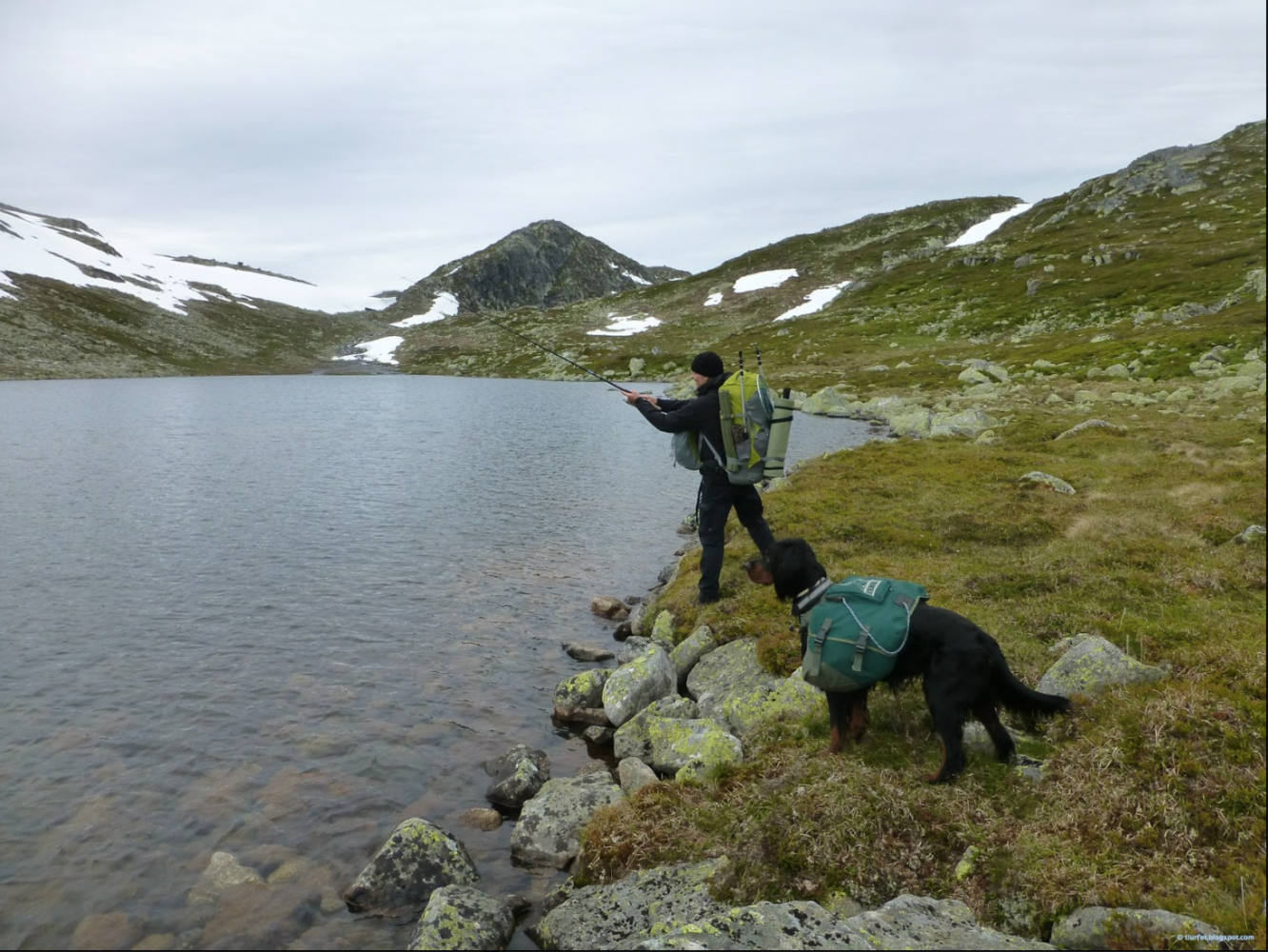 ©Tiurfot-AARN-hardangervidda.png