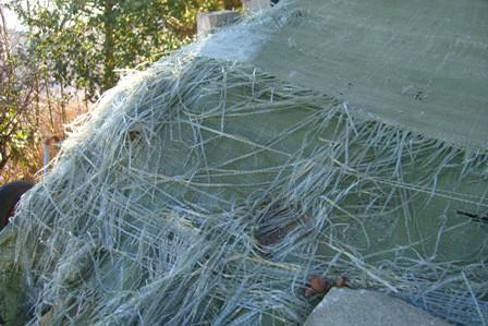 CIMG7784.JPG.588f59a60566295b5c03320aee8