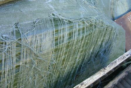 CIMG7785.JPG.7787773ab6bde3b941bc458b58c