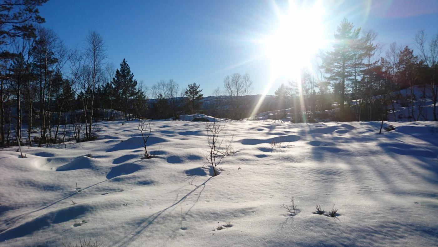 DSC_2422.thumb.JPG.77cc5c8645302af58d0c4