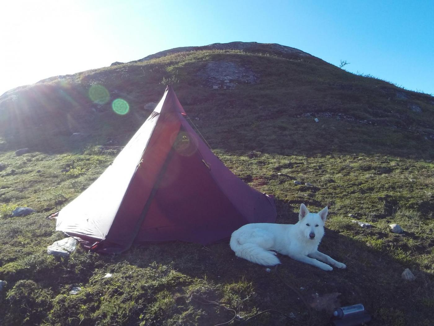 GOPR4446.thumb.JPG.037a9ebc95f7388013aa0