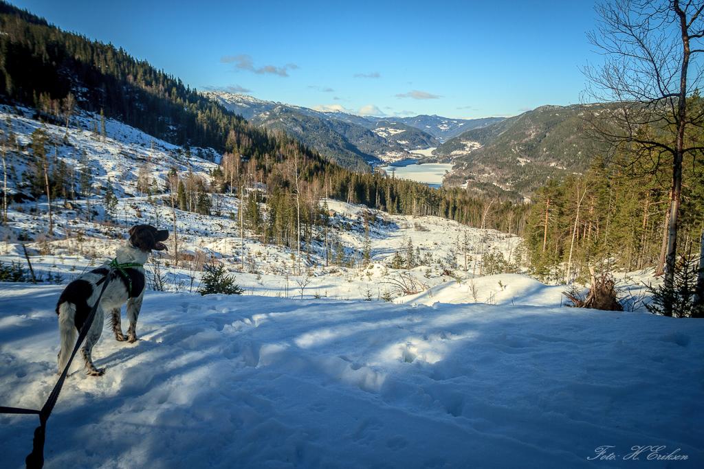 IMG_1267.jpg.8f6ea0d7abd002dbbe298e7026c