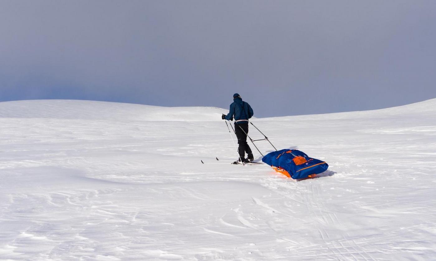 IMG_3687.thumb.JPG.bb5ff3cdd08b5490e8c56