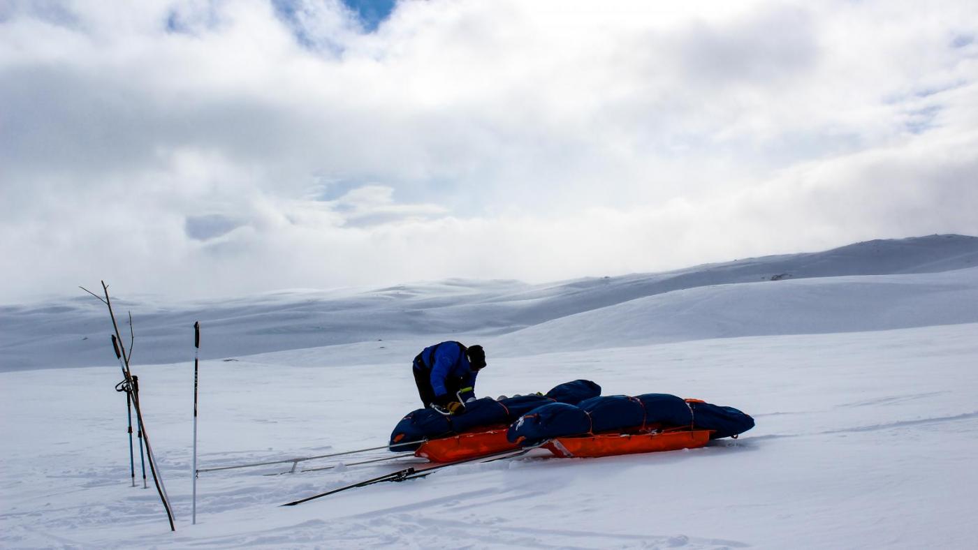 IMG_3821.thumb.jpg.5d99f5a42d8a0407adc3e