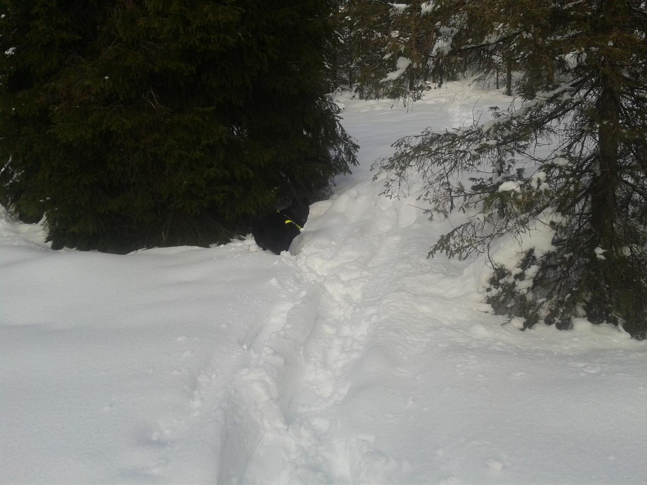 trugetur5.jpg.50f0a5efc43dda1a692d2b2b88