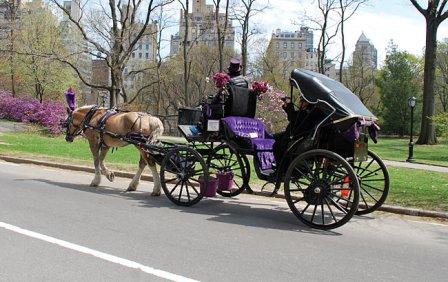 2-central-park-carriage_650.jpg