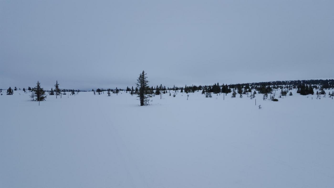 2016-04-03 16.30.16.jpg