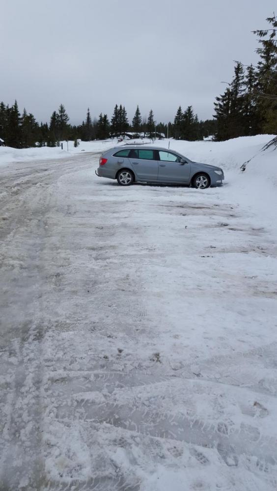 2016-04-03 18.16.07.jpg