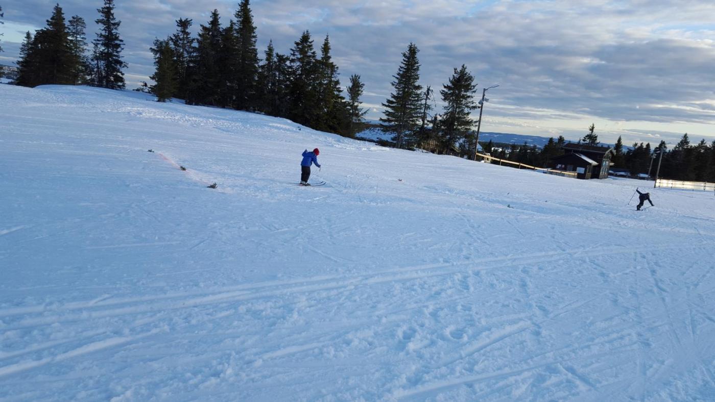 2016-04-10 19.23.37.jpg