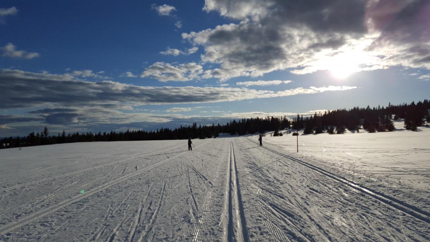 2016-04-10 18.49.44.jpg