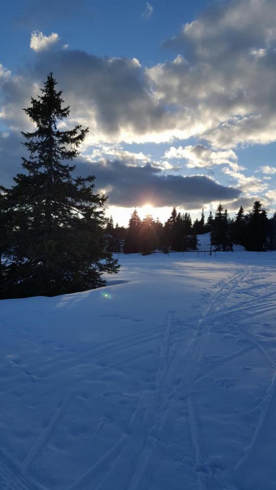 2016-04-09 19.25.02.jpg