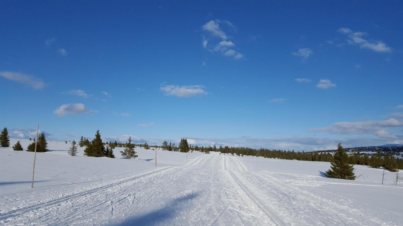 2016-04-09 18.07.08.jpg