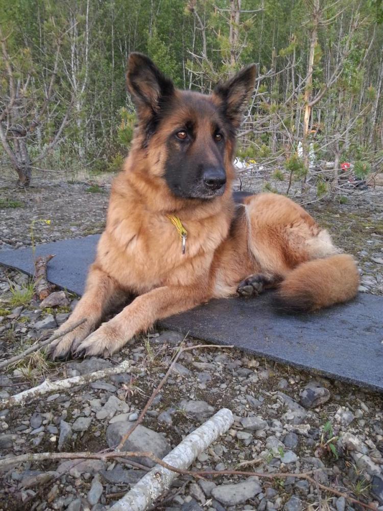 2015-06-27 22.39.08.jpeg