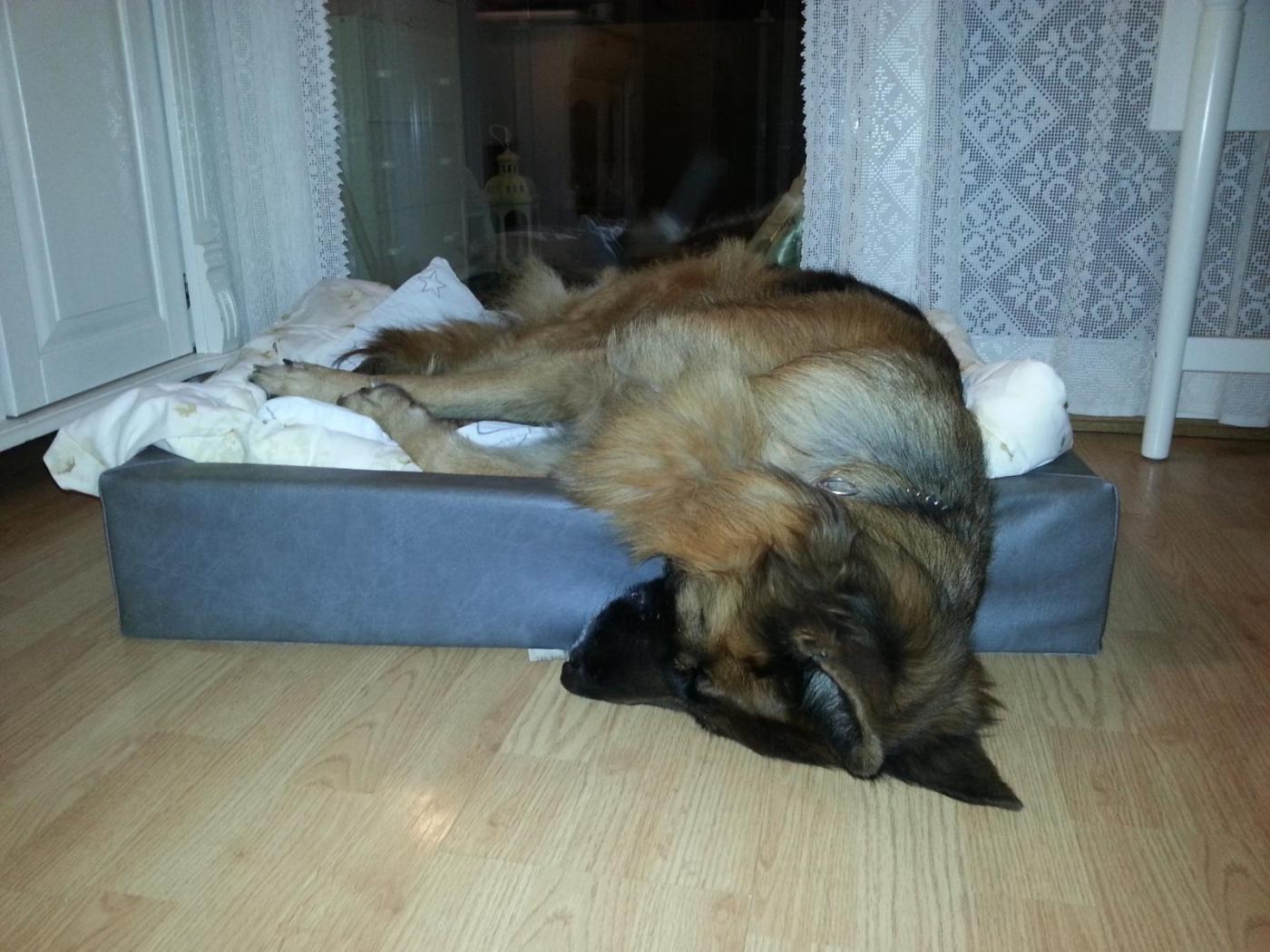 2015-11-22 01.30.02.jpeg