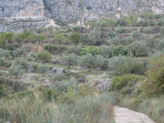 5A173 - 16 (640x480).jpg