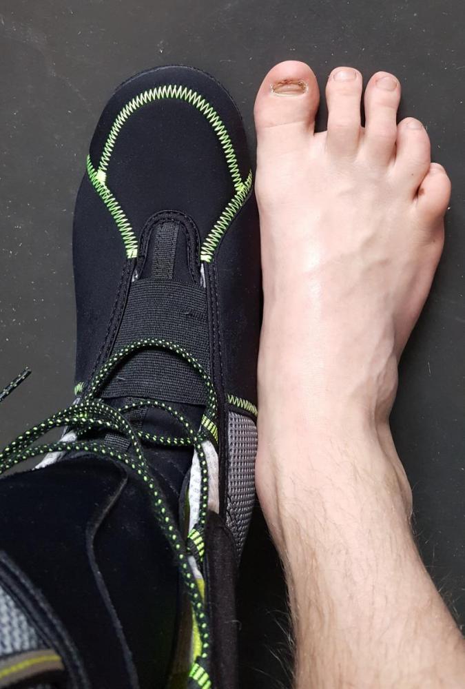 2016-04-23 13.52.02.jpg