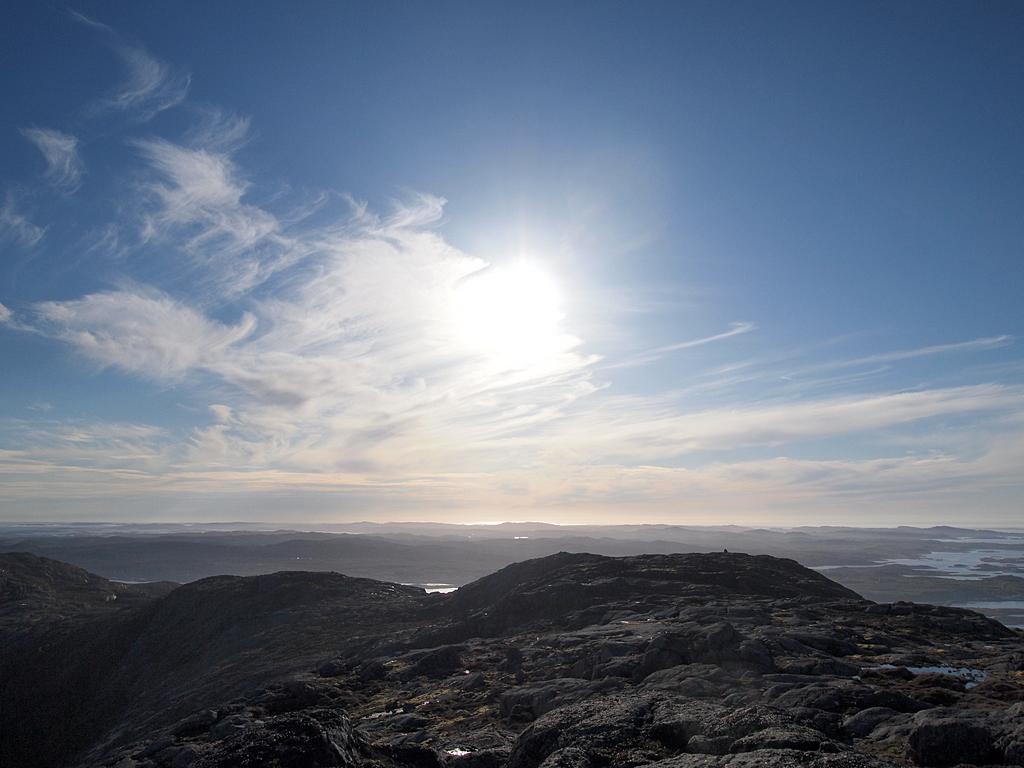 Høgråna nedover (P5210599).jpg