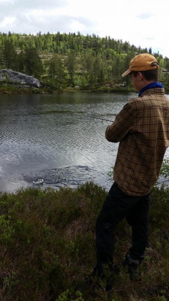 Fiske i Birtedalen.jpg