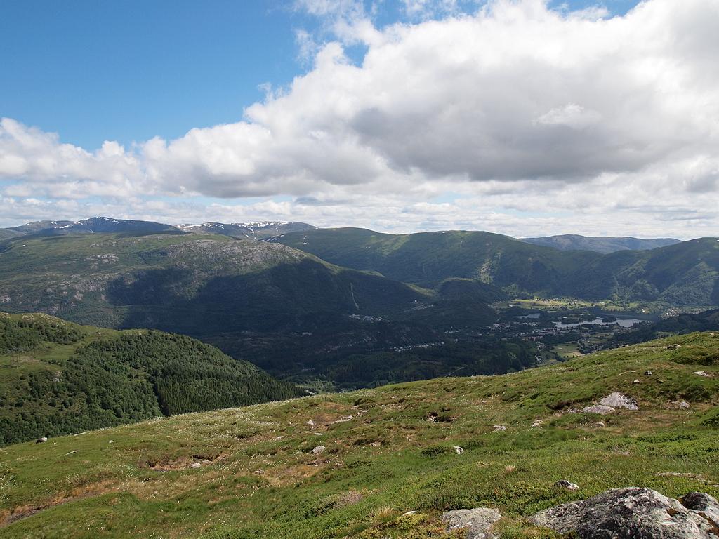 Gullfjellet (P6190625).JPG