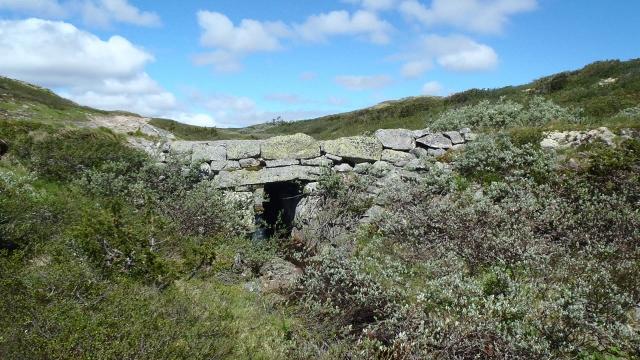 P6280007 (640x360).jpg