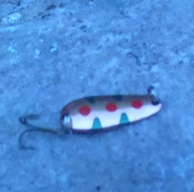 P6290033 (640x633).jpg