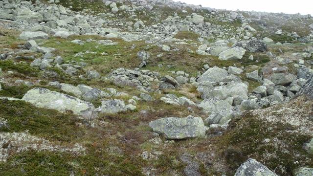 P6290047 (640x360).jpg