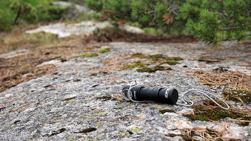 ArmyTek Wizard Pro (P7080642).JPG