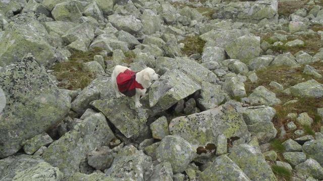 10 - 36b UR (640x360).jpg