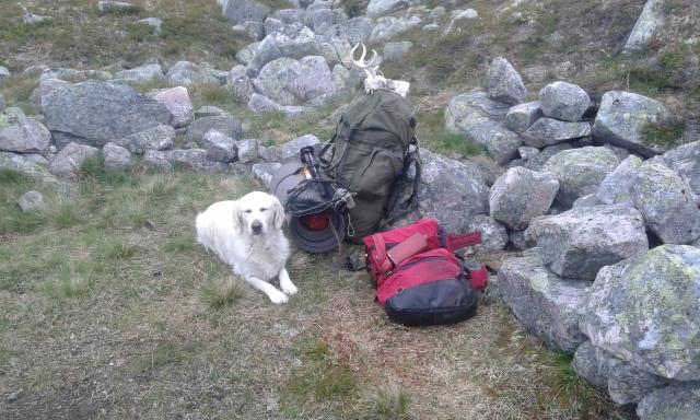 10 - 41 Nedre leirplass (640x384).jpg