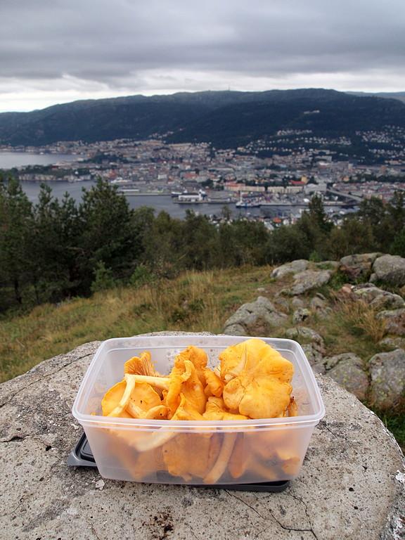 Middagsråstoff (P8230763).JPG