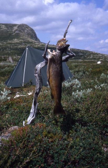 .jpg (412x640) (412x640).jpg